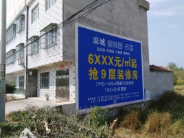 富宁墙体广告质量分析