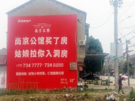 富宁墙体广告在乡镇、农村市场的媒体优势