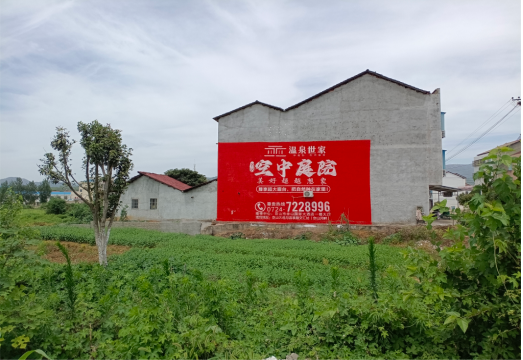 富宁做墙体广告的意义