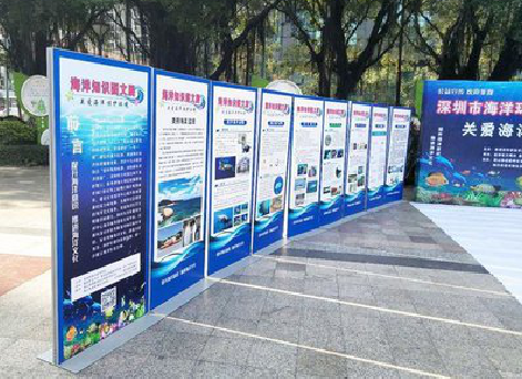 富宁KT板的种类和知识。